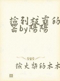 捡到校霸的遥控器by阳阳