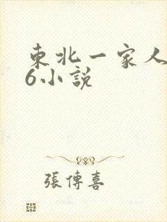 东北一家人1一6小说