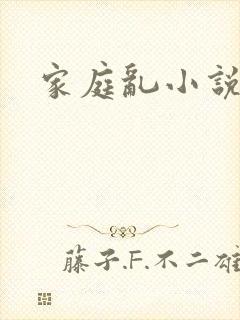 家庭乱小说