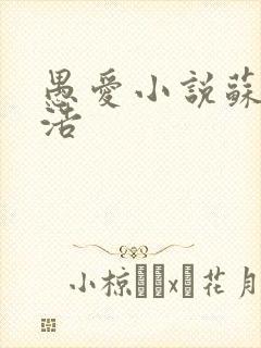 愚爱小说苏倩孙浩