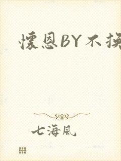 怀恩BY不换