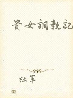 贵女调教记