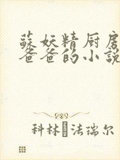 苏妖精厨房爹爹爸爸的小说