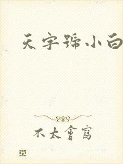 天字号小白脸