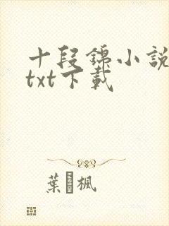 十段锦小说全本txt下载