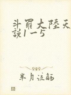 斗罗大陆天狂传说1一5
