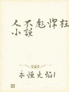 人不彪悍枉少年小说