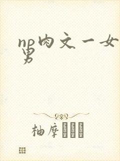 np肉文一女多男