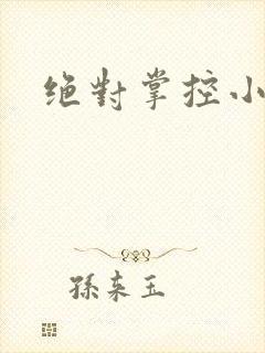 绝对掌控小说