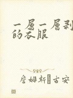 一层一层剥开你的衣服