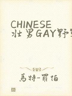 CHINESE壮男GAY野战强迫TUBE