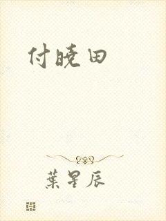 付晓田