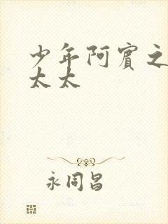 少年阿宾之房东太太