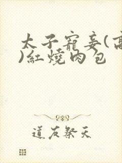 太子宠妾(高肉)红烧肉包