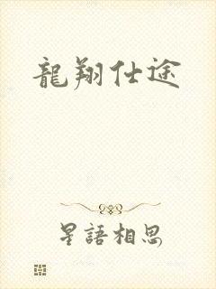 龙翔仕途