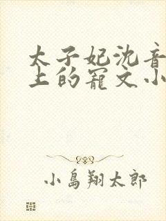 太子妃沈音和皇上的宠文小说