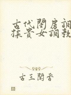 古代闺房调教h揉贵女调教记