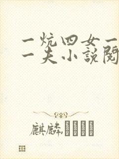 一炕四女一共侍一夫小说阅读