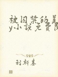 被囚禁的美人by小说免费阅读