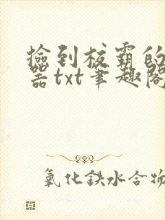 捡到校霸的遥控器txt笔趣阁