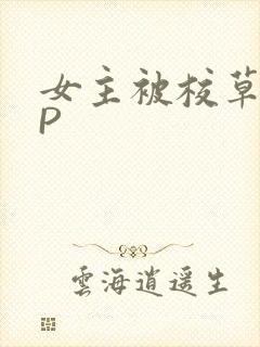女主被校草们NP