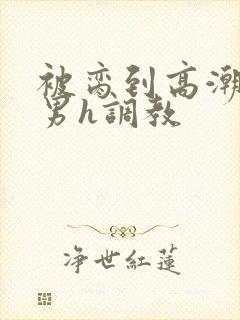 被脔到高潮的直男h调教