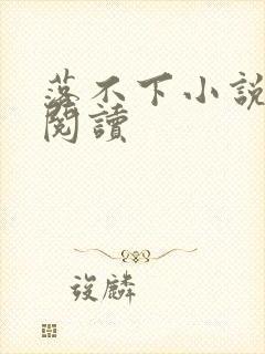 落不下小说免费阅读