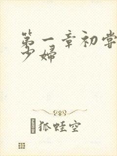 第一章初尝极品少妇