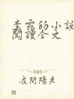 李霖的小说免费阅读全文