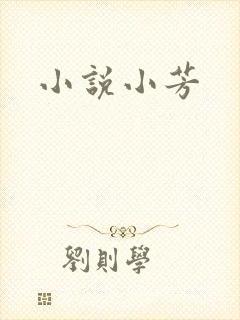 小说小芳
