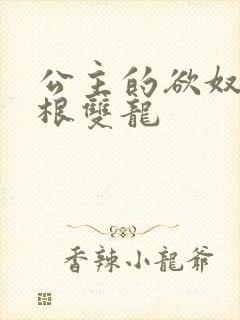 公主的欲奴h四根双龙