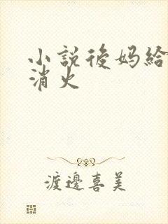 小说后妈给我消消火