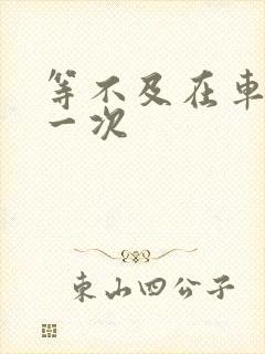 等不及在车里做一次