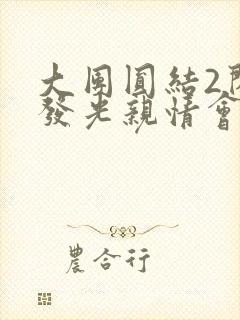 大团圆结2闪闪发光亲情会