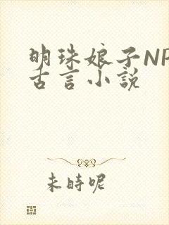 明珠娘子NPC古言小说