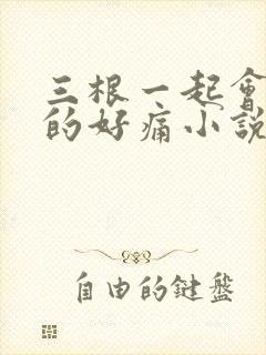 三根一起会坏掉的好痛小说