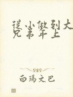 从小做到大骨科兄弟年上