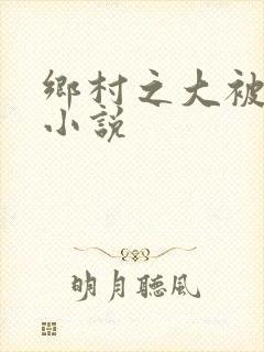 乡村之大被同眠小说