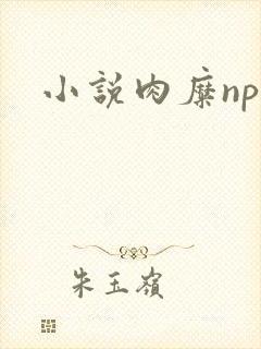 小说肉糜np
