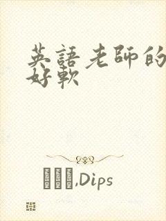 英语老师的兔子好软