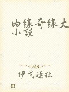 内缘奇缘大团圆小说