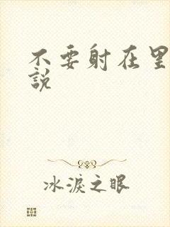 不要射在里面小说