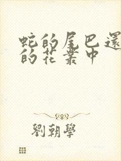 蛇的尾巴还在我的花丛中