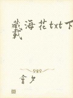 藏海花txt下载