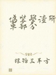 伪装学渣所有开车部分