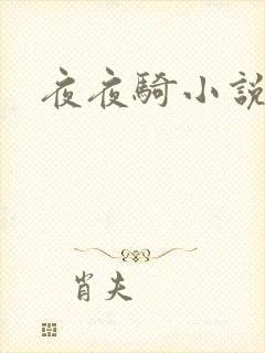 夜夜骑小说