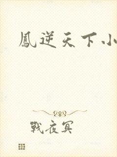 凤逆天下小说