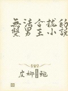 无法合拢的总裁双男主小说