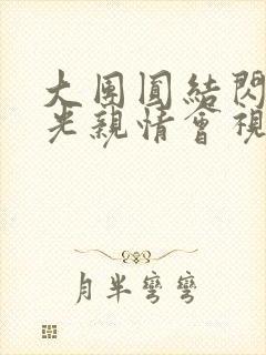 大团圆结闪闪发光亲情会视频