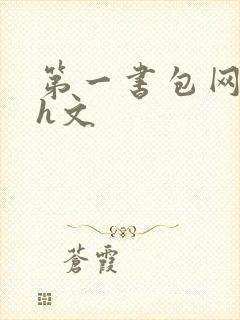 第一书包网高辣h文